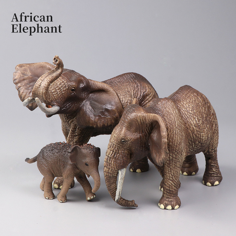 Afrykańskie dzikie zwierzęta,  – Kids Educational Box recenzja i cena